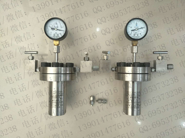 100mL30MPa��Ӧ��